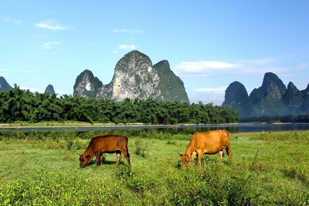 Ctn Li River Hotel 陽朔 エクステリア 写真